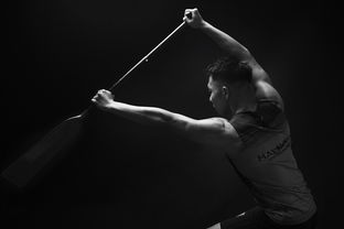 半岛官方入口安全-全民健身摄影作品展览走进体育馆大厅，体育运动摄影作品展  第1张